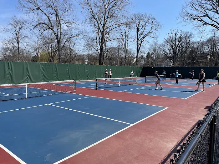 Pickleball Courts Picture 5