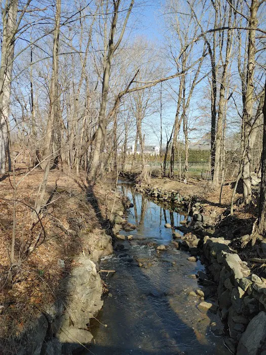 Pinebrook Park Picture 4