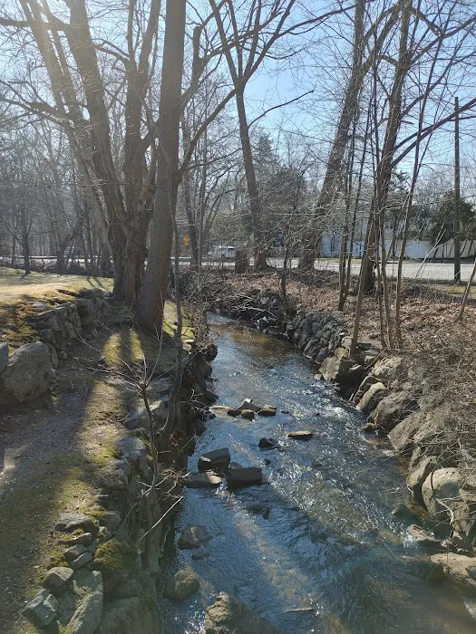 Pinebrook Park Picture 7