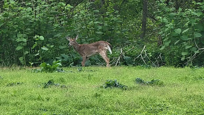 Carpenters Pond Park Picture 6