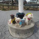 Veterans Plaza