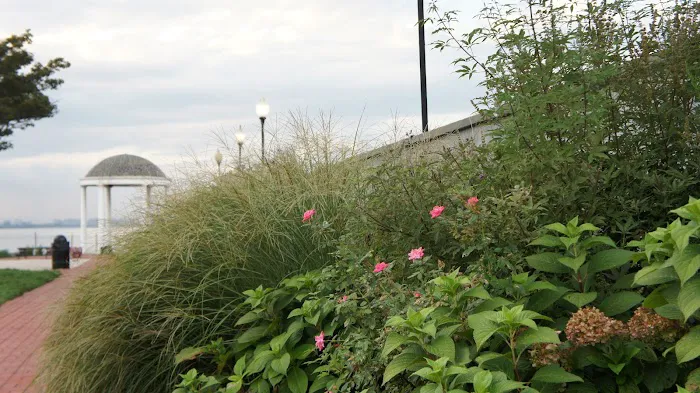 Beach Channel Drive Picture 3