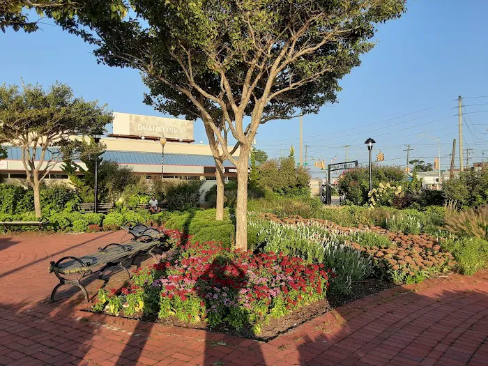 Tribute Park Picture 7