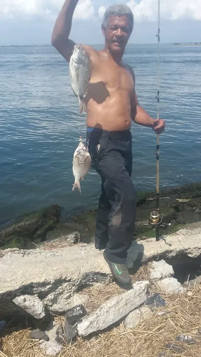 Beach Channel Park Picture 10