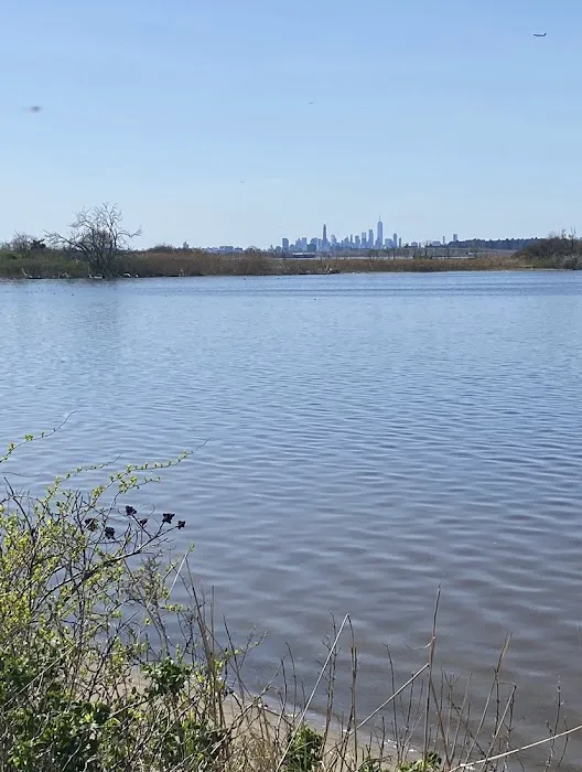 Jamaica Bay Wildlife Refuge Picture 5