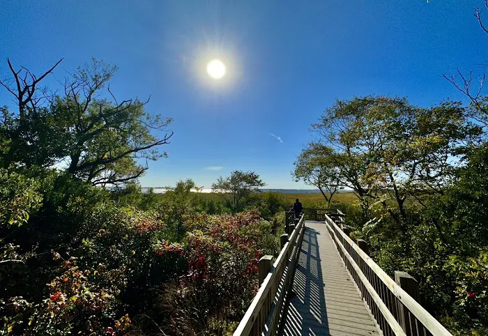 Jamaica Bay Wildlife Refuge Picture 9