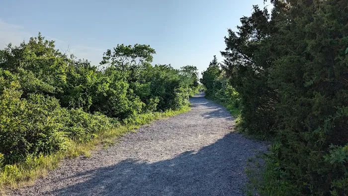 Jamaica Bay Wildlife Refuge Picture 2