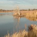 Jamaica Bay Wildlife Refuge