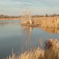 Jamaica Bay Wildlife Refuge ico