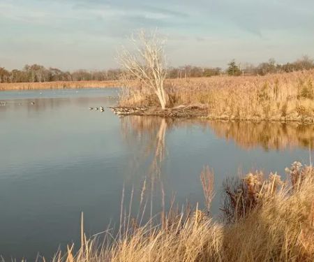 Jamaica Bay Wildlife Refuge