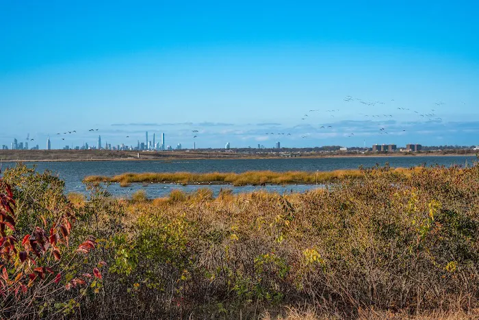 Jamaica Bay Wildlife Refuge Picture 6