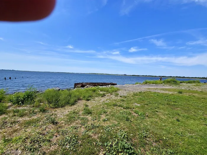 Jamaica Bay Wildlife Refuge Picture 4