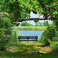 Bird Watching Bench ico
