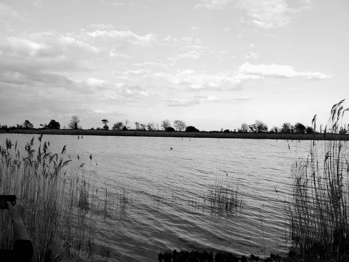 Bird Watching Bench Picture 6