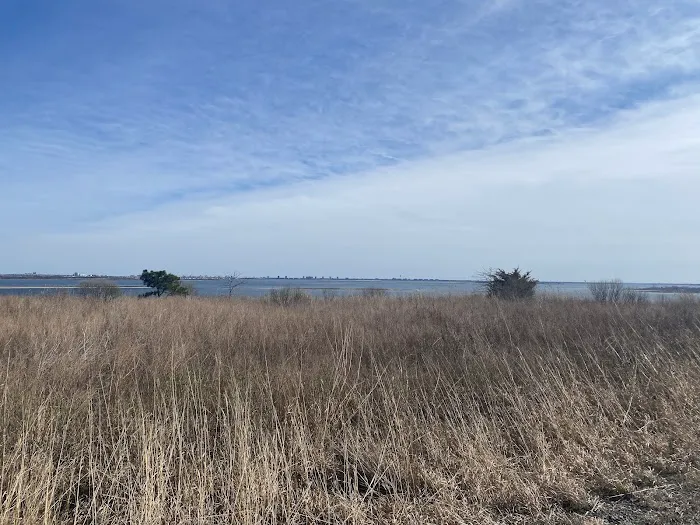 Oyster Catcher Trail Picture 3