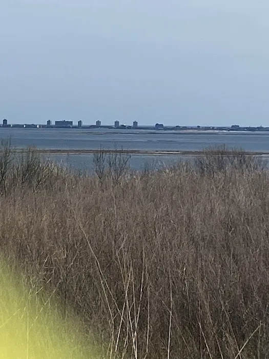 Oyster Catcher Trail Picture 5