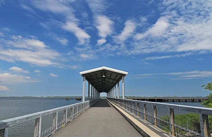 Shirley Chisholm State Park Picture 3