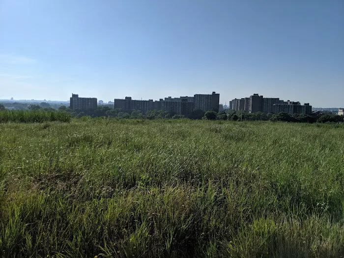 Starrett City Park Picture 7