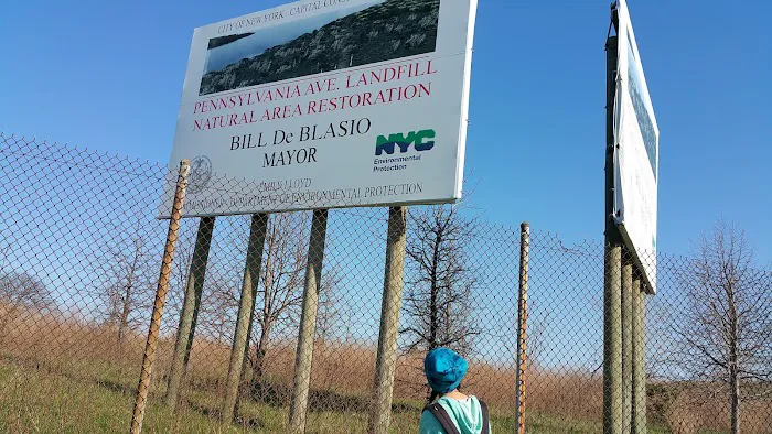 Starrett City Park Picture 6