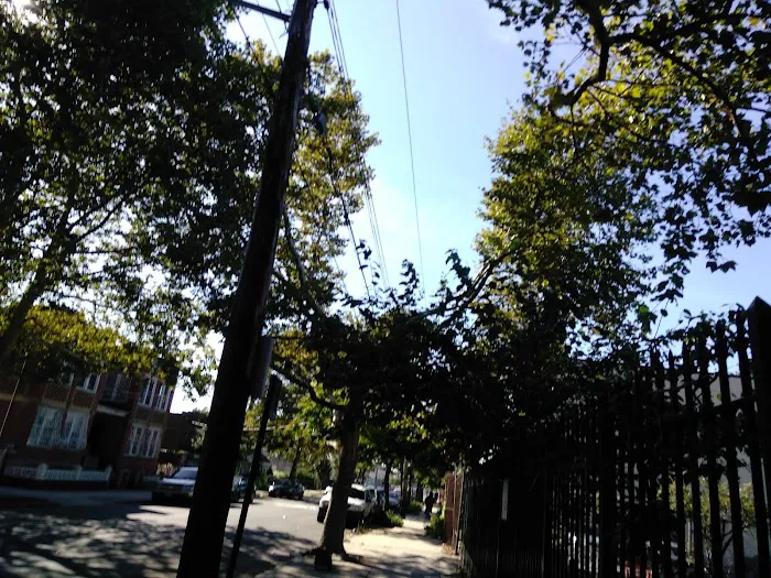 Euclid/Pine Street Block Association Garden Picture 4