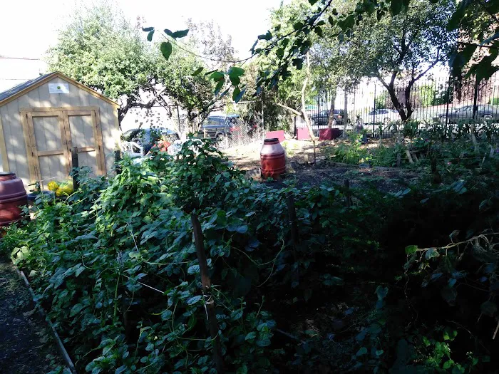 Euclid/Pine Street Block Association Garden Picture 1