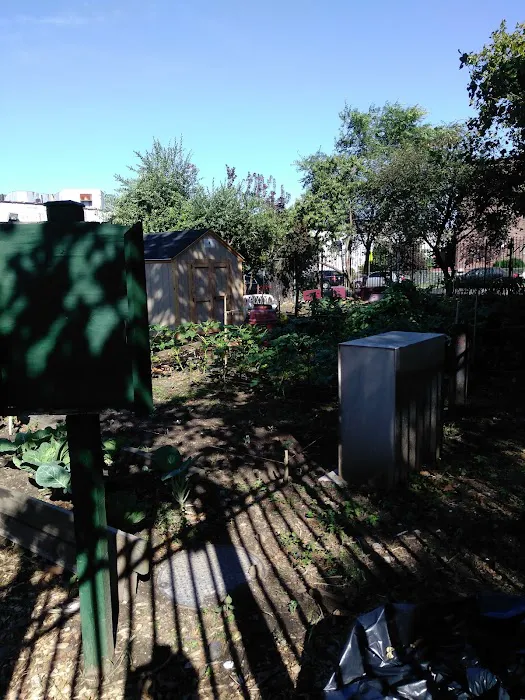 Euclid/Pine Street Block Association Garden Picture 3