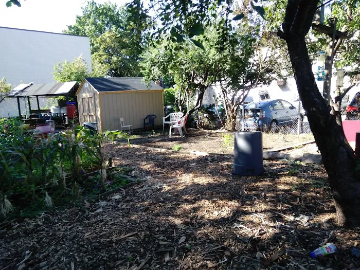 Euclid/Pine Street Block Association Garden Picture 2