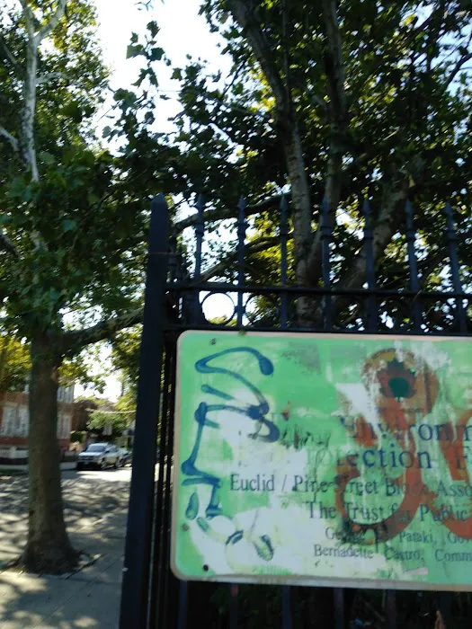 Euclid/Pine Street Block Association Garden Picture 7
