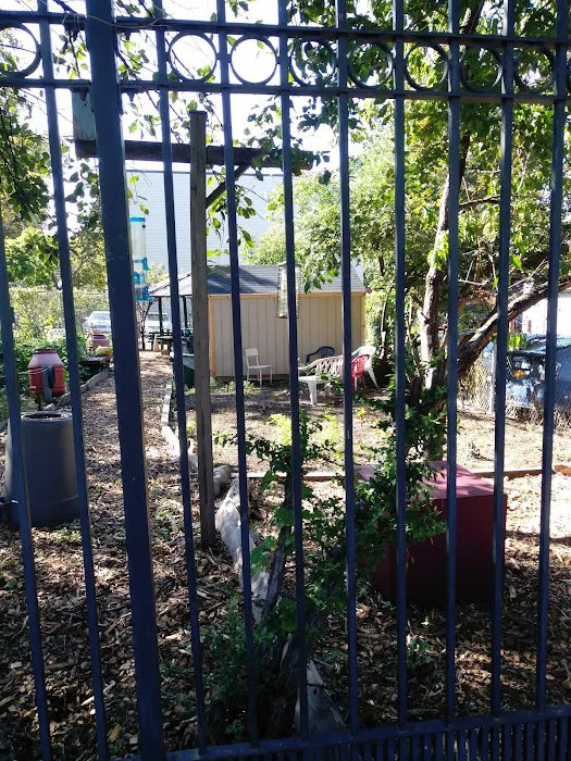Euclid/Pine Street Block Association Garden Picture 9