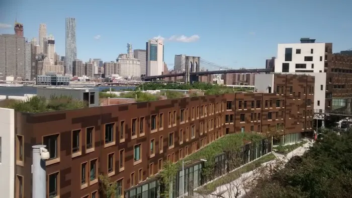 Brooklyn Picture 2
