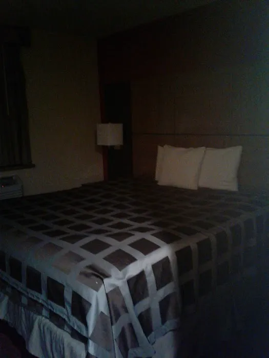 Hotel Bliss - Brooklyn Picture 8