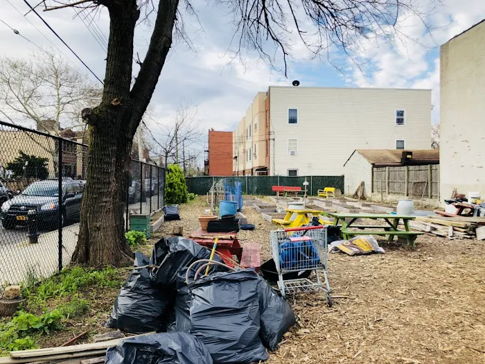 400 Montauk Avenue Block Association Garden Picture 6