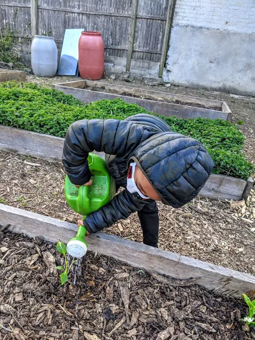 400 Montauk Avenue Block Association Garden Picture 7