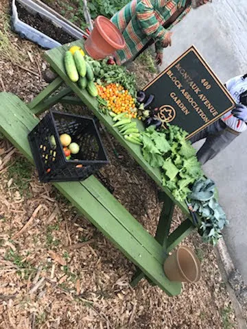 400 Montauk Avenue Block Association Garden Picture 1