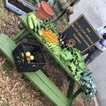 400 Montauk Avenue Block Association Garden