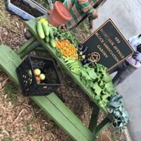 400 Montauk Avenue Block Association Garden ico