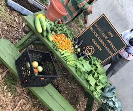 400 Montauk Avenue Block Association Garden