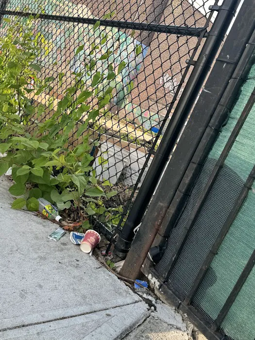 Euclid 500 Community Garden Picture 5