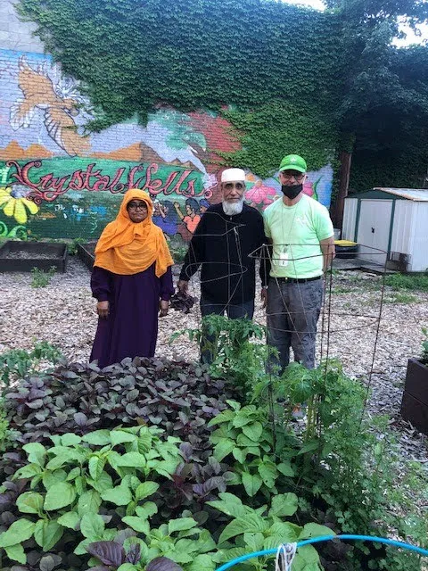 Crystal Wells Block Association Community Garden Picture 2