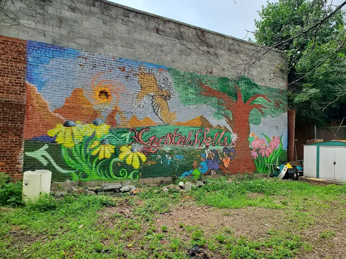 Crystal Wells Block Association Community Garden Picture 4
