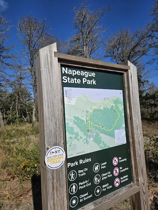 Napeague State Park Picture 4