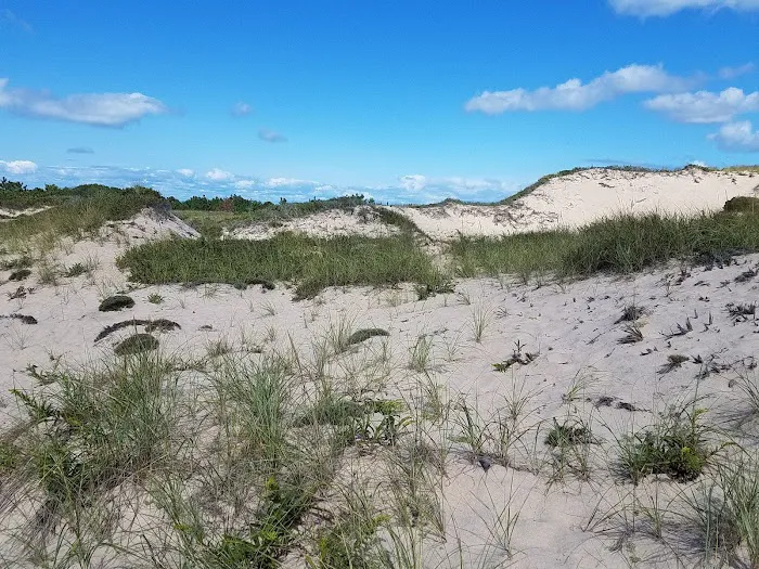 Napeague State Park Picture 6