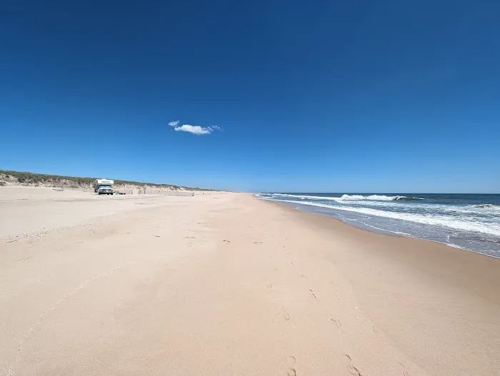 Napeague State Park Picture 3