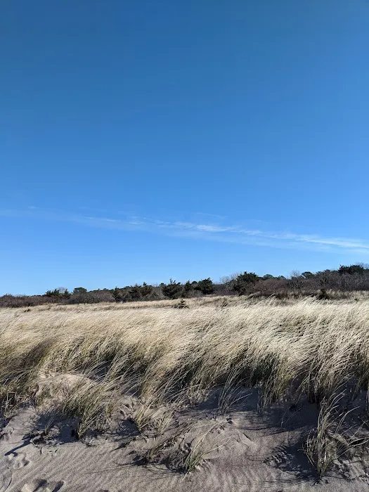 Napeague State Park Picture 5