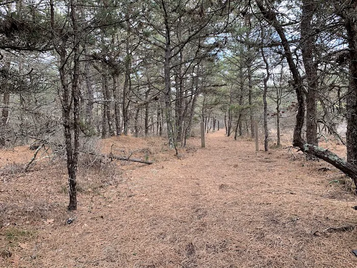 Napeague State Park Picture 10