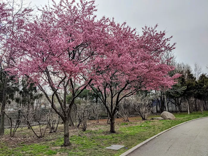 Elmhurst Park Picture 6