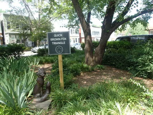 Quick Brown Fox Triangle Picture 4