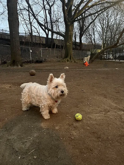 Mafera Dog Park Picture 1