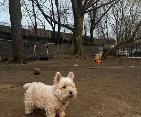 Mafera Dog Park