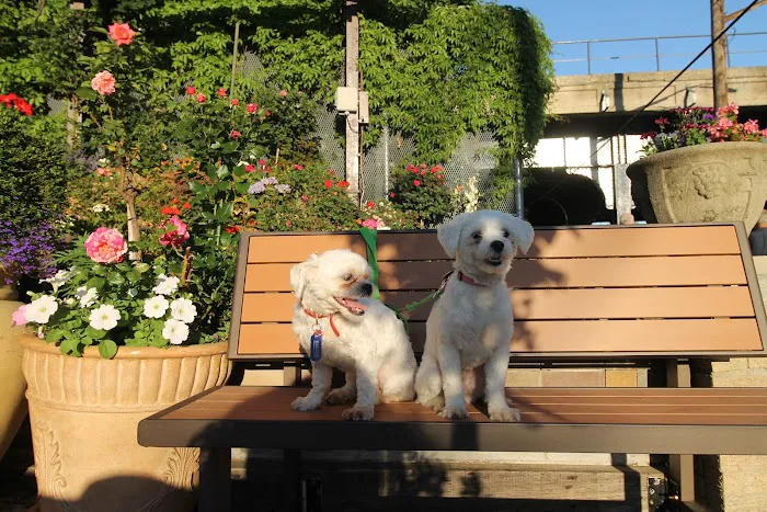 Ridgewood Garden Picture 2